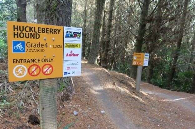 huckleberry