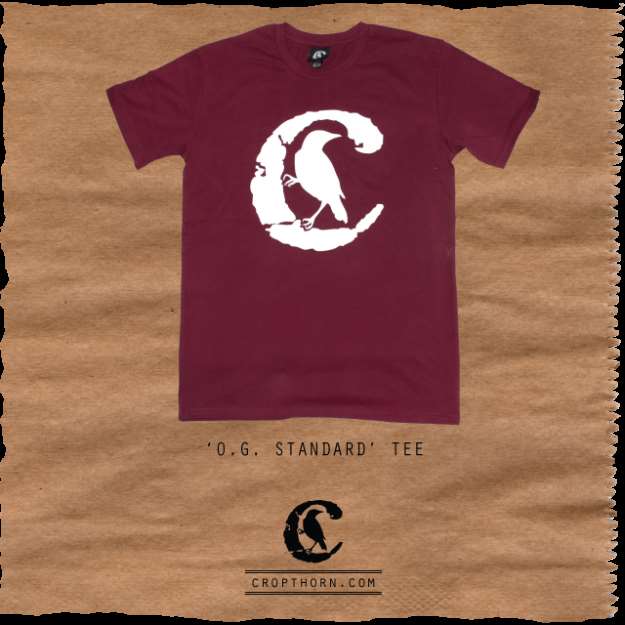 INSTA_Brown_Bag_STD_MAROON