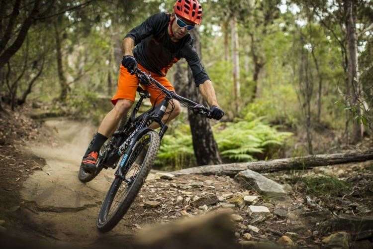 Santa Cruz 5010 C (c) Tim Bardsley-Smith