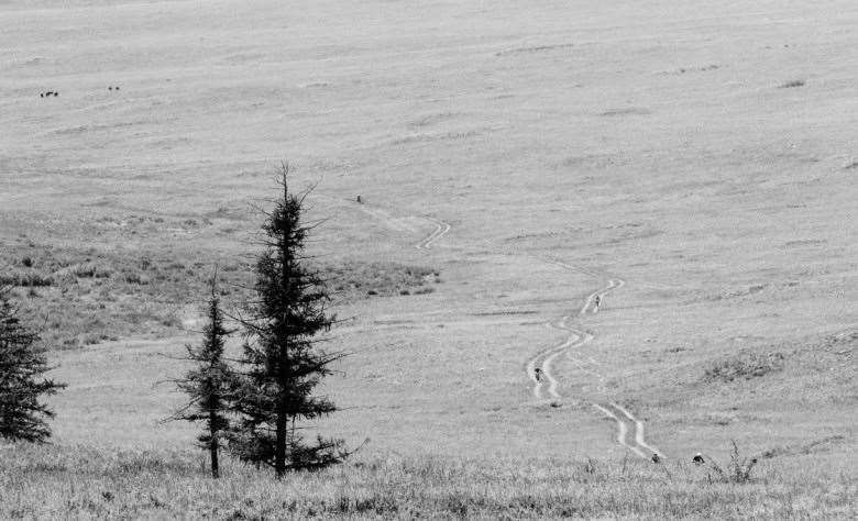 Long stages mean riders end up spread out across the course.