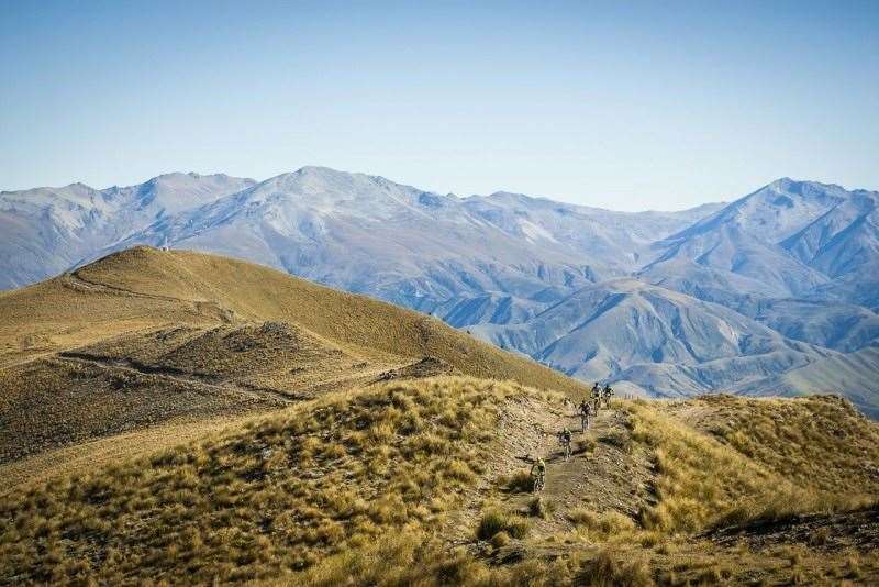 (c) Tim Bardsley-Smith