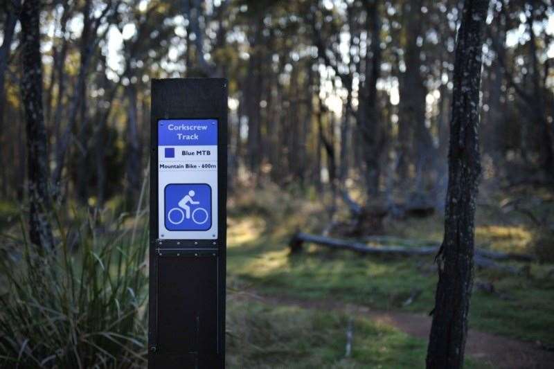 Tasmania Launceston MTB Ollie King