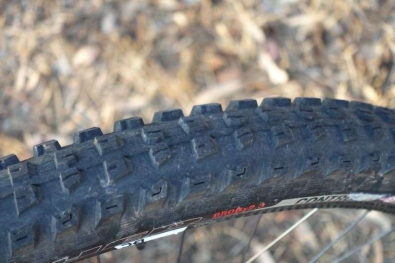 TESTED Specialized Butcher Slaughter Tyre Review Australian Mountain Bike