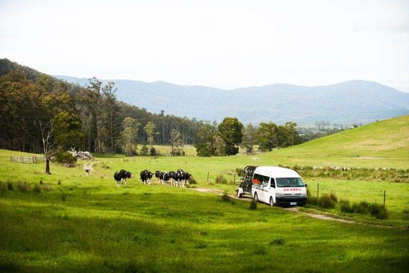 Tasmania Shimano Adventure road trip. Photo: Damian Breach