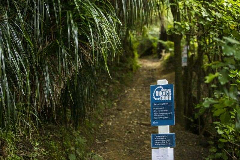 Queen Charlotte Track New Zealand