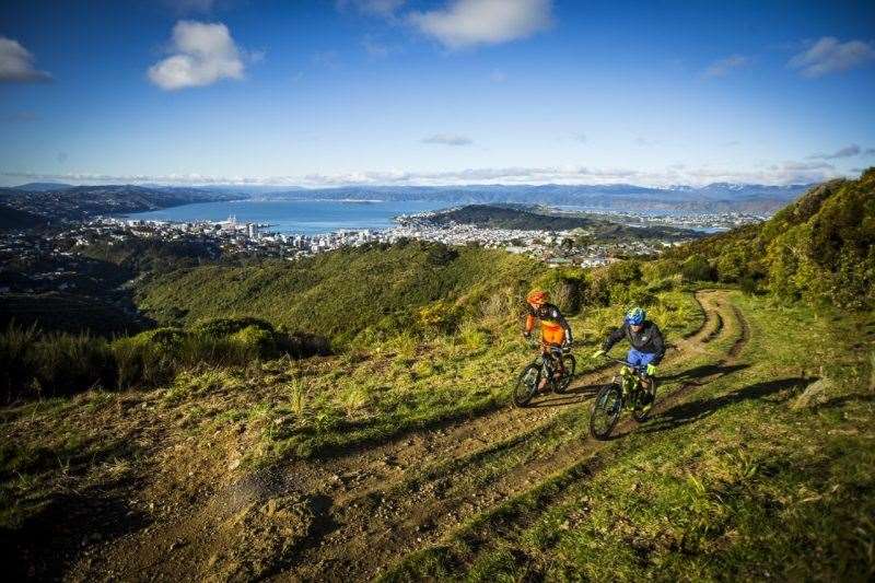 Bike barn mt wellington online