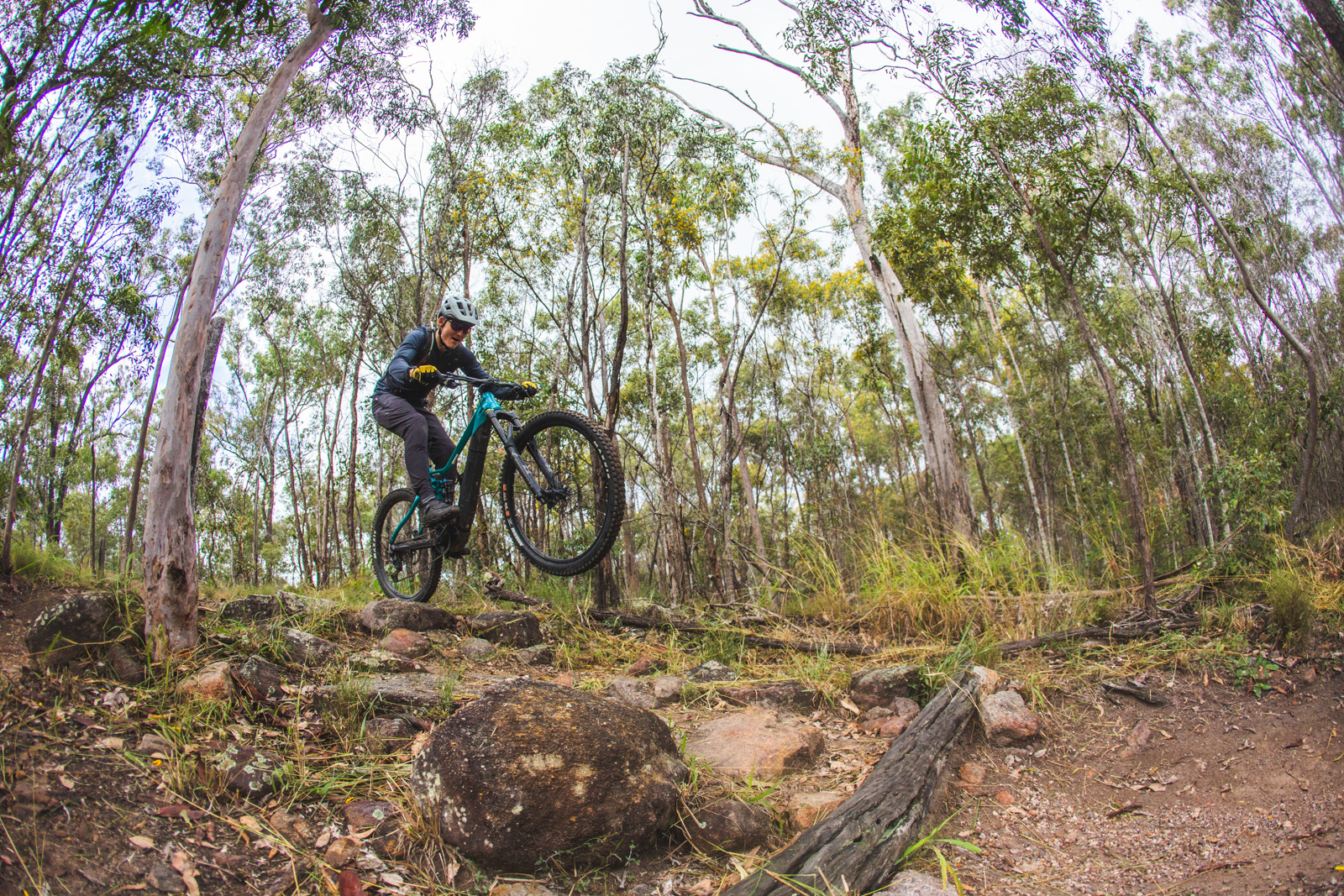 Castle hill mtb deals