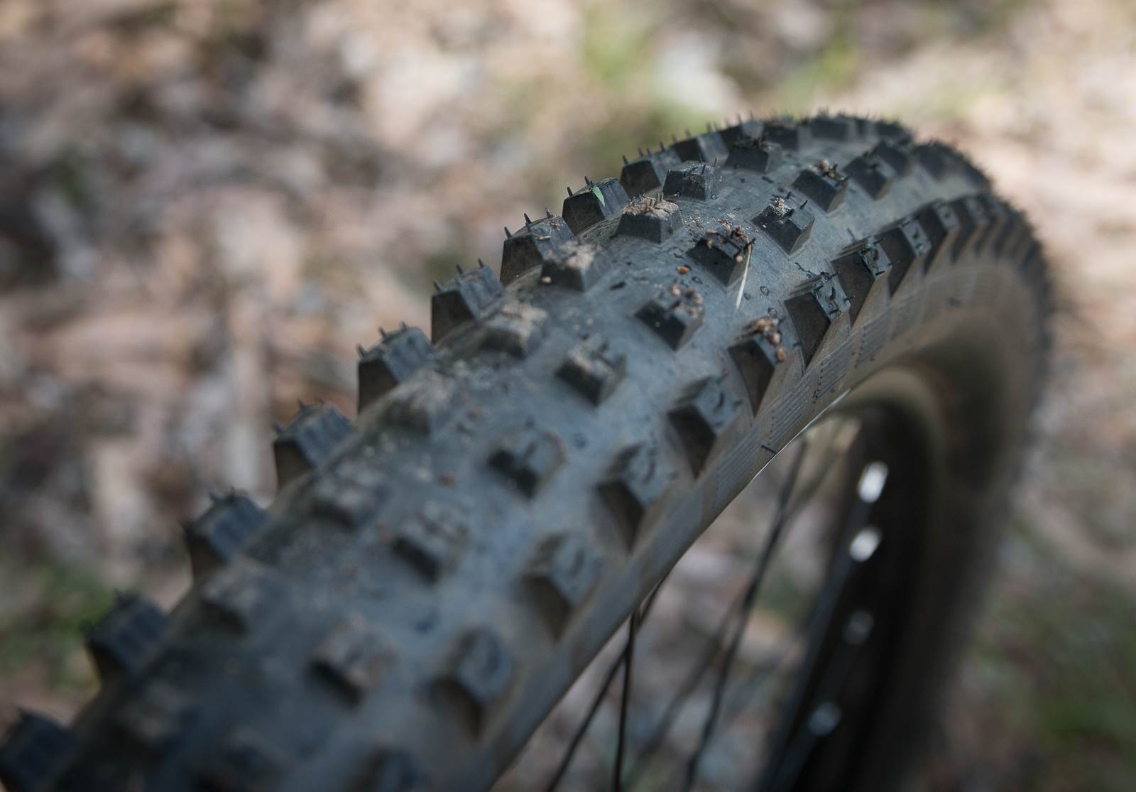Specialized hillbilly 2.6 hotsell