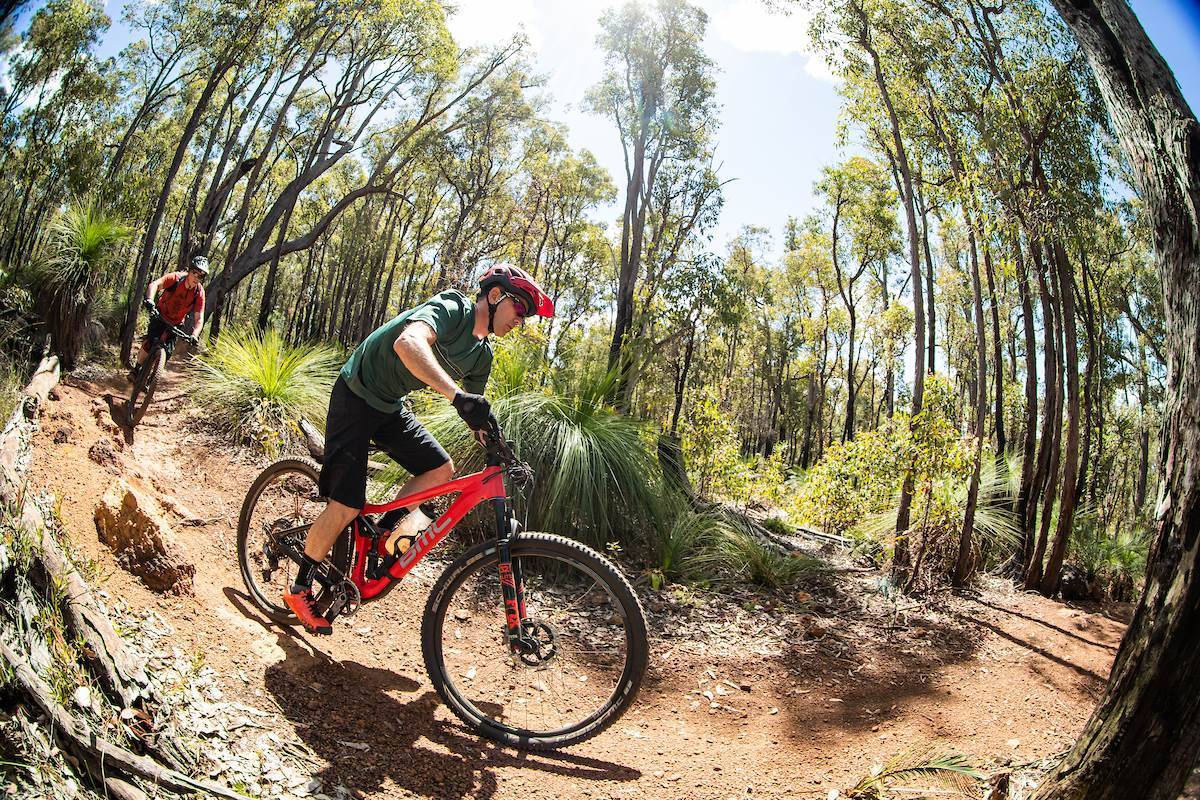 Camel farm mountain bike online