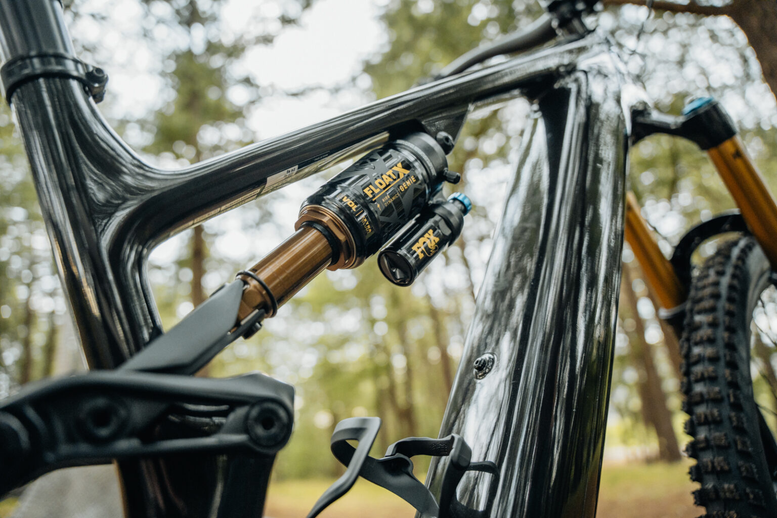 AMB Issue #213 Is Out Now - Australian Mountain Bike