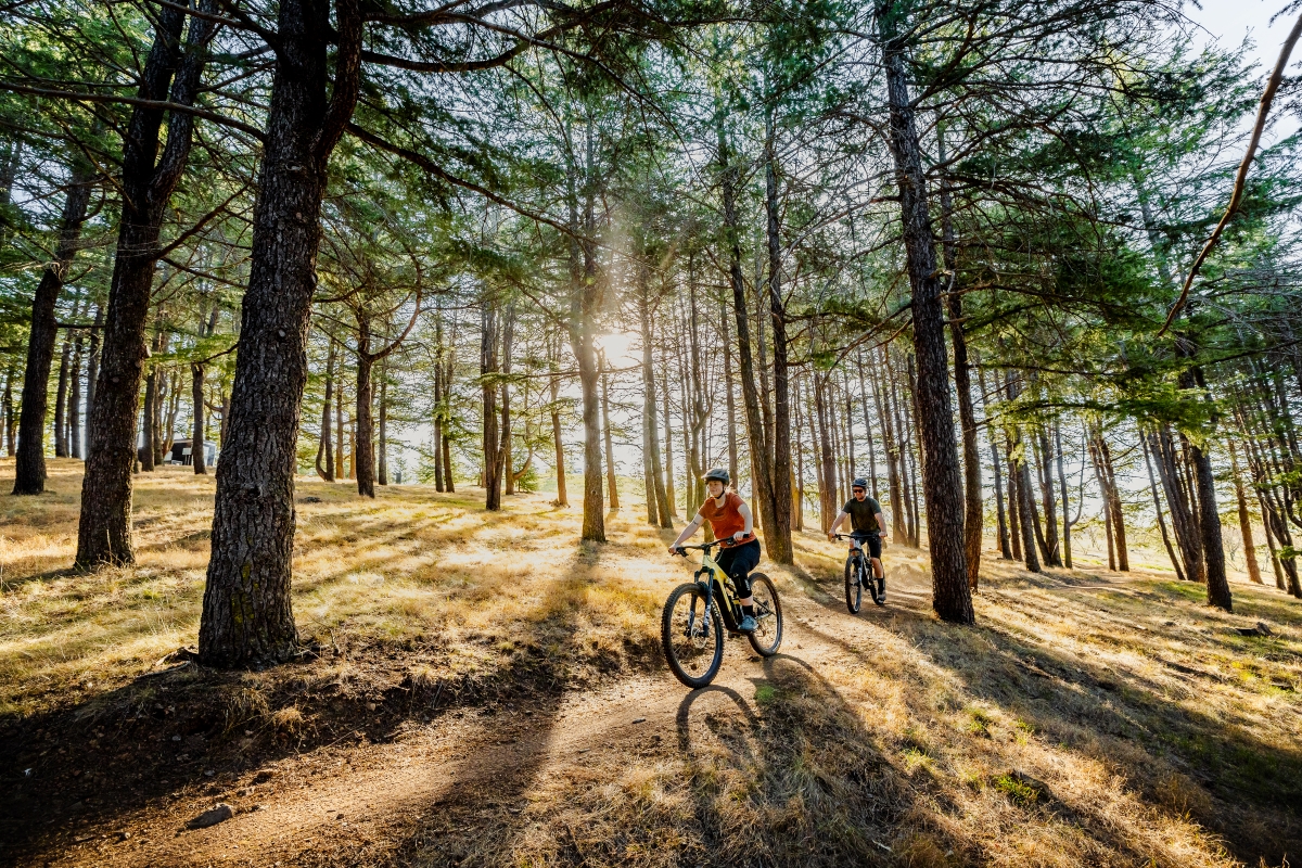 Walking and Cycling Canberra's Centenary Trail Second Edition main image 0