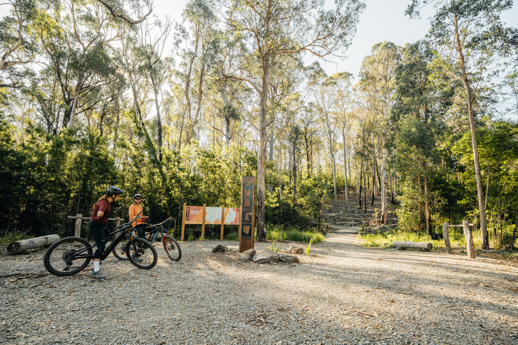 Mogo MTB trails