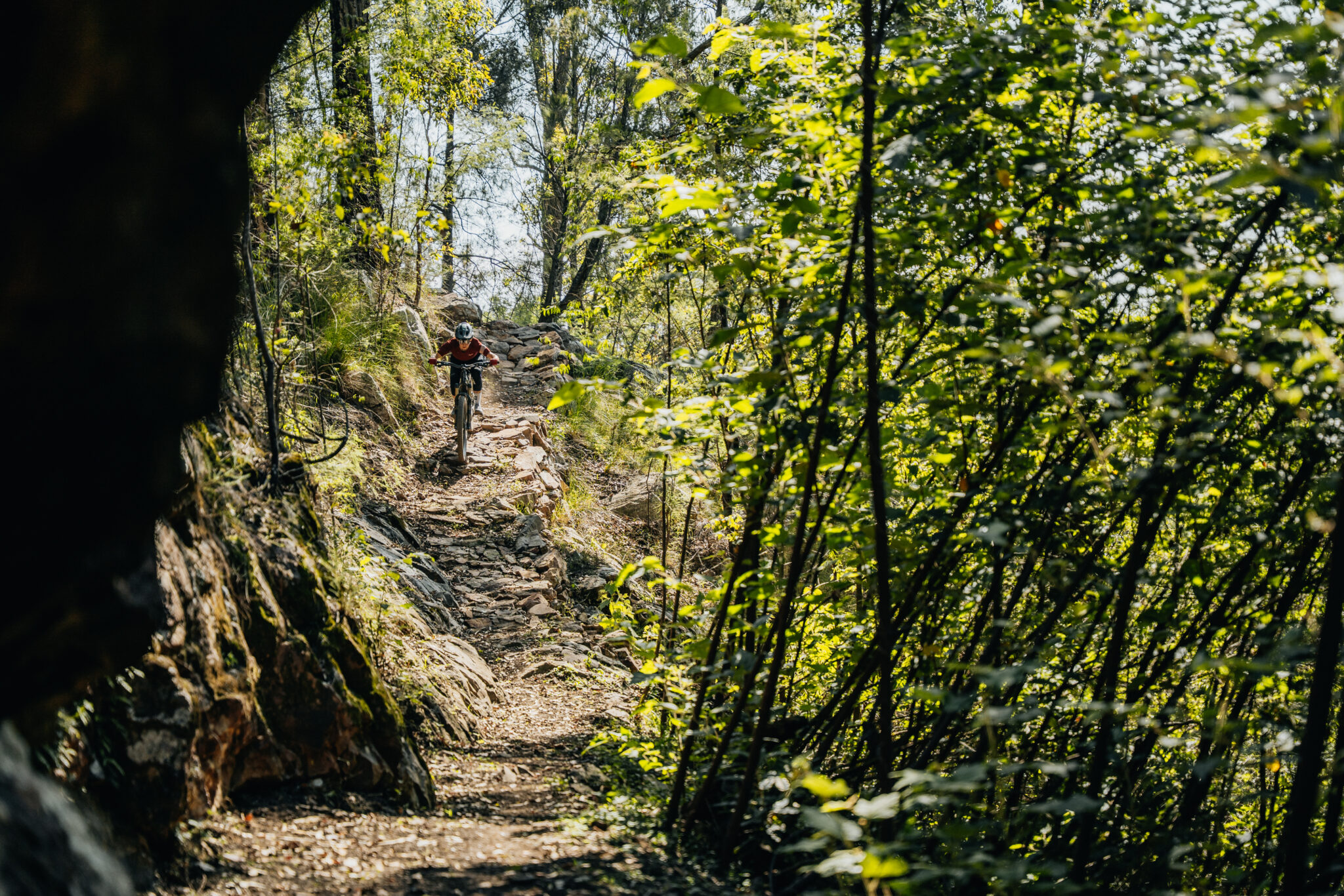 Mogo's Burnaaga-Goanna trail