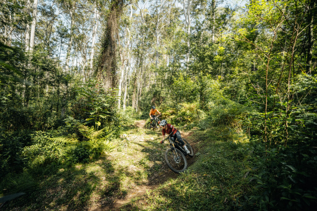 Mountain biking Mogo's Burnaaga-Goanna trail