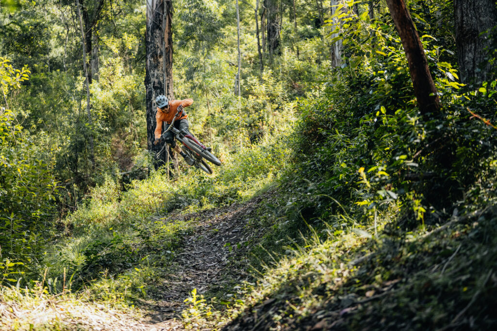 Flowy singletrack through native forest on the Mogo mountain bike trails in NSW