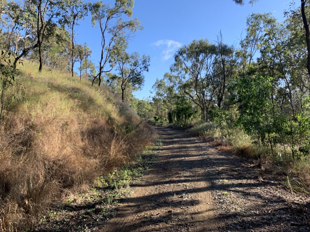 bikepacking tips
