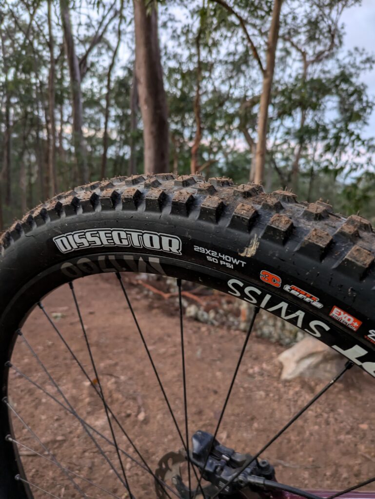 Maxxis Dissector on the trail
