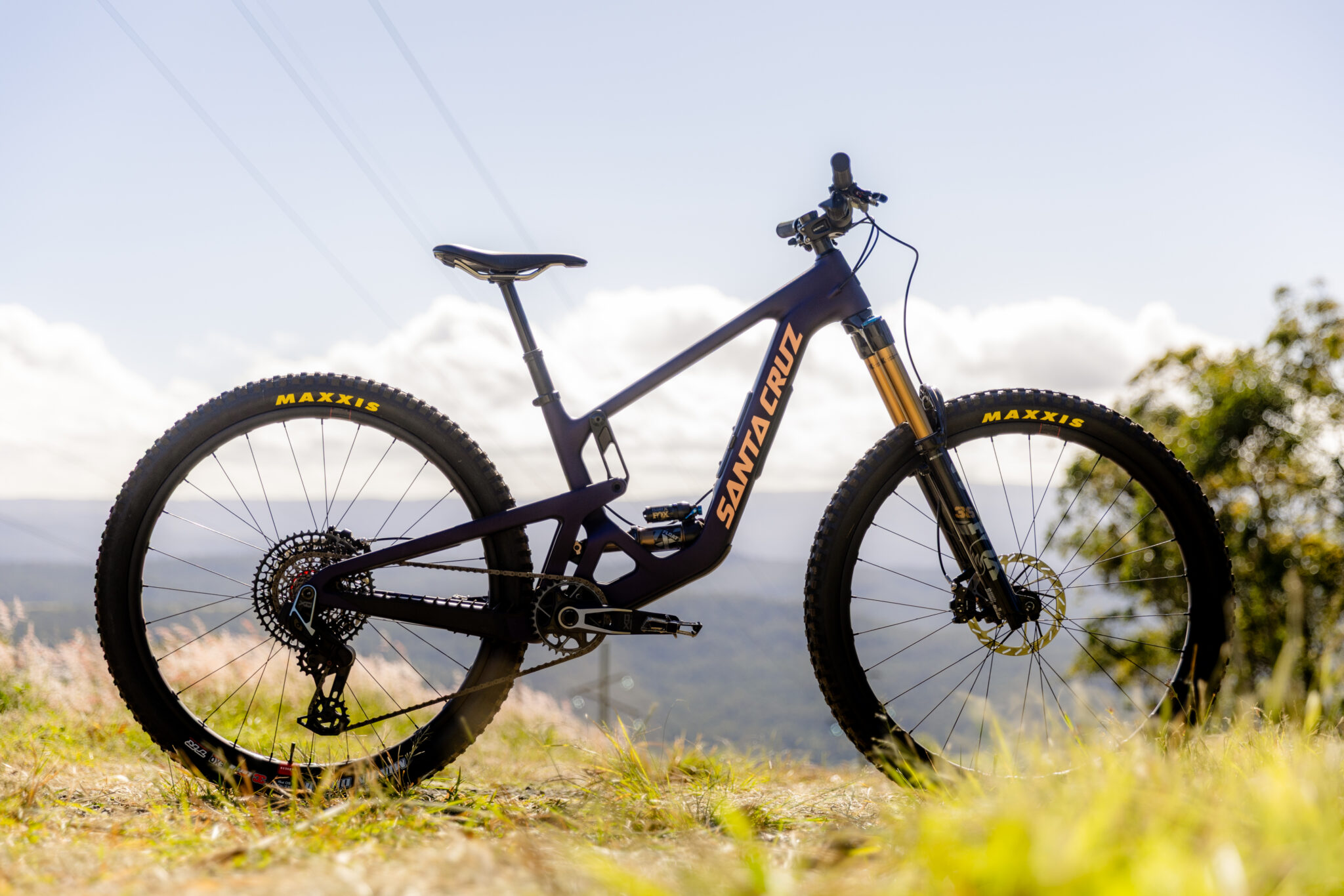 Santa Cruz Hightower