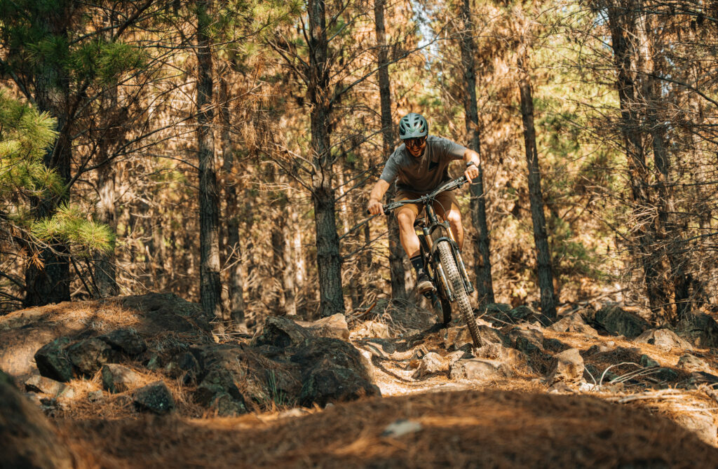 Specialized levo 4 on the trails