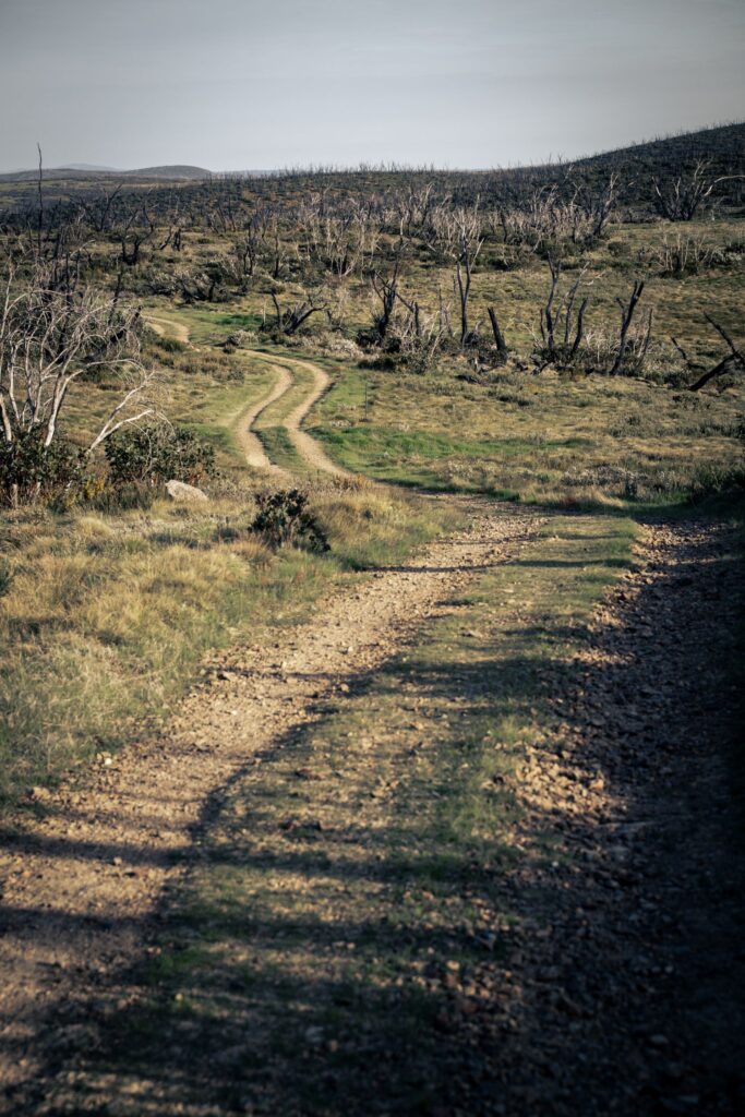 Hunt 1000 bikepacking trip