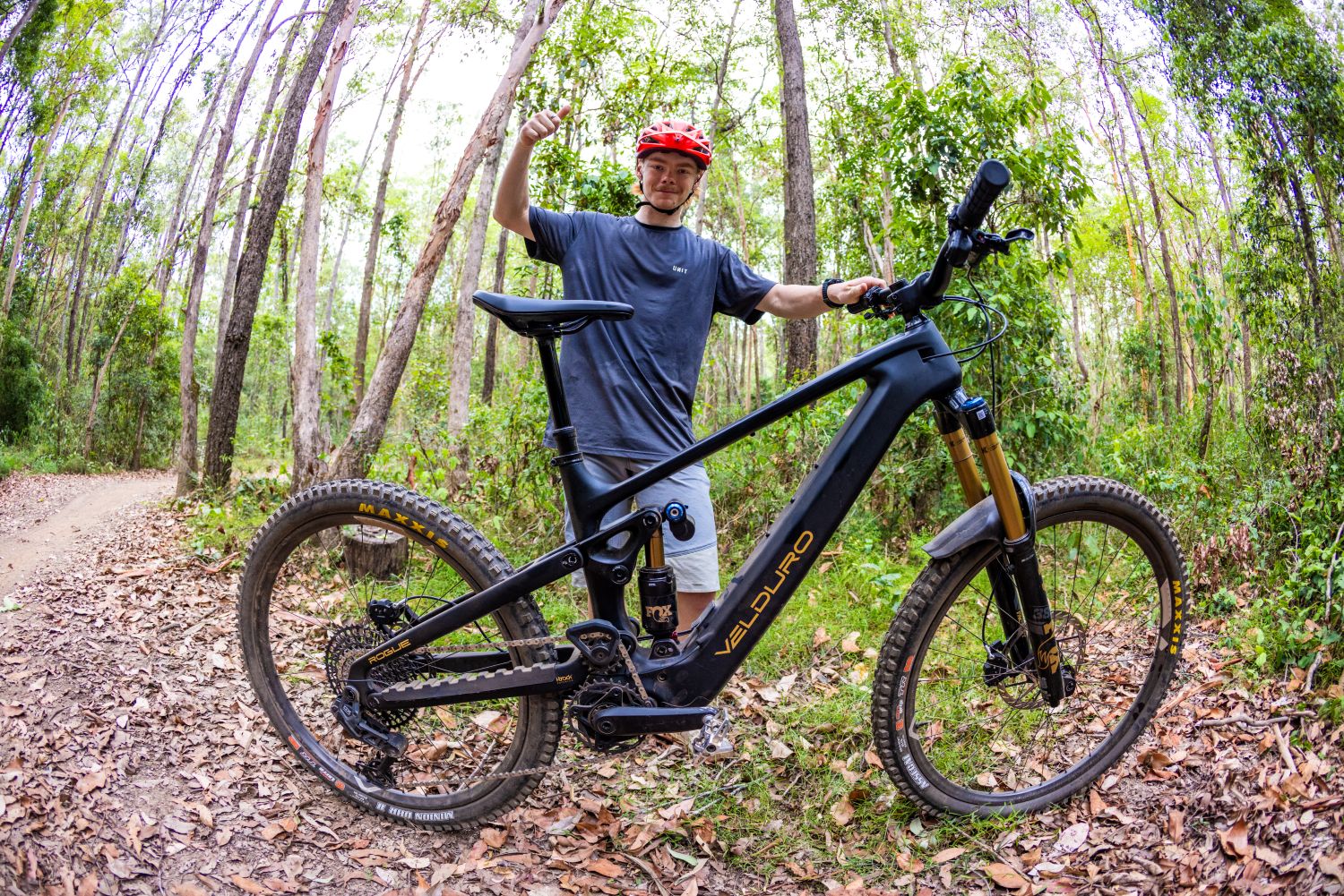 Shaddy with Velduro Rogue R