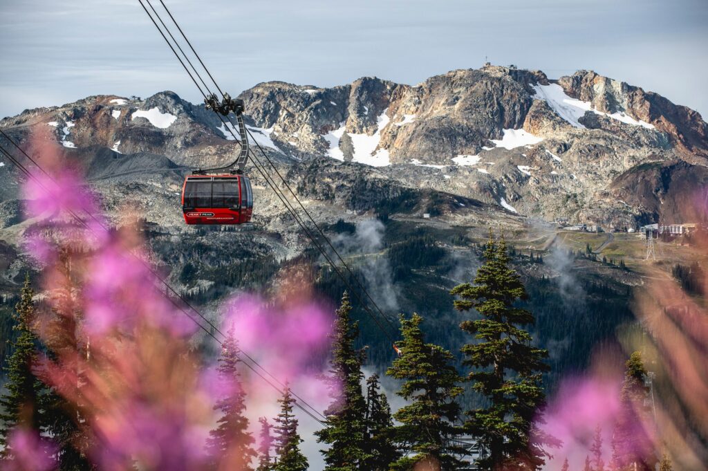 Whistler Mountain Biking Gondola