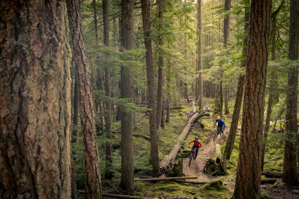 Whistler Mountain Biking