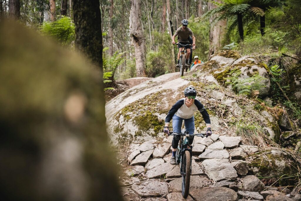 Warburton Mountain Bike Park