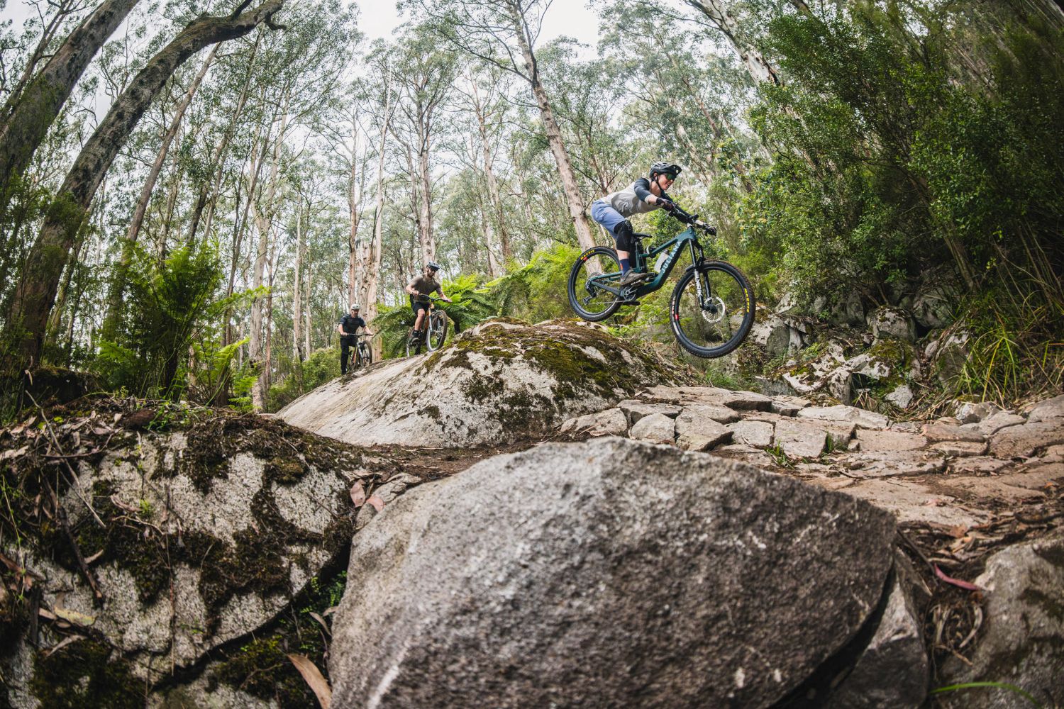 Warburton Mountain Bike Park