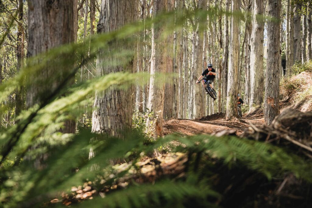 Warburton Mountain Bike Park