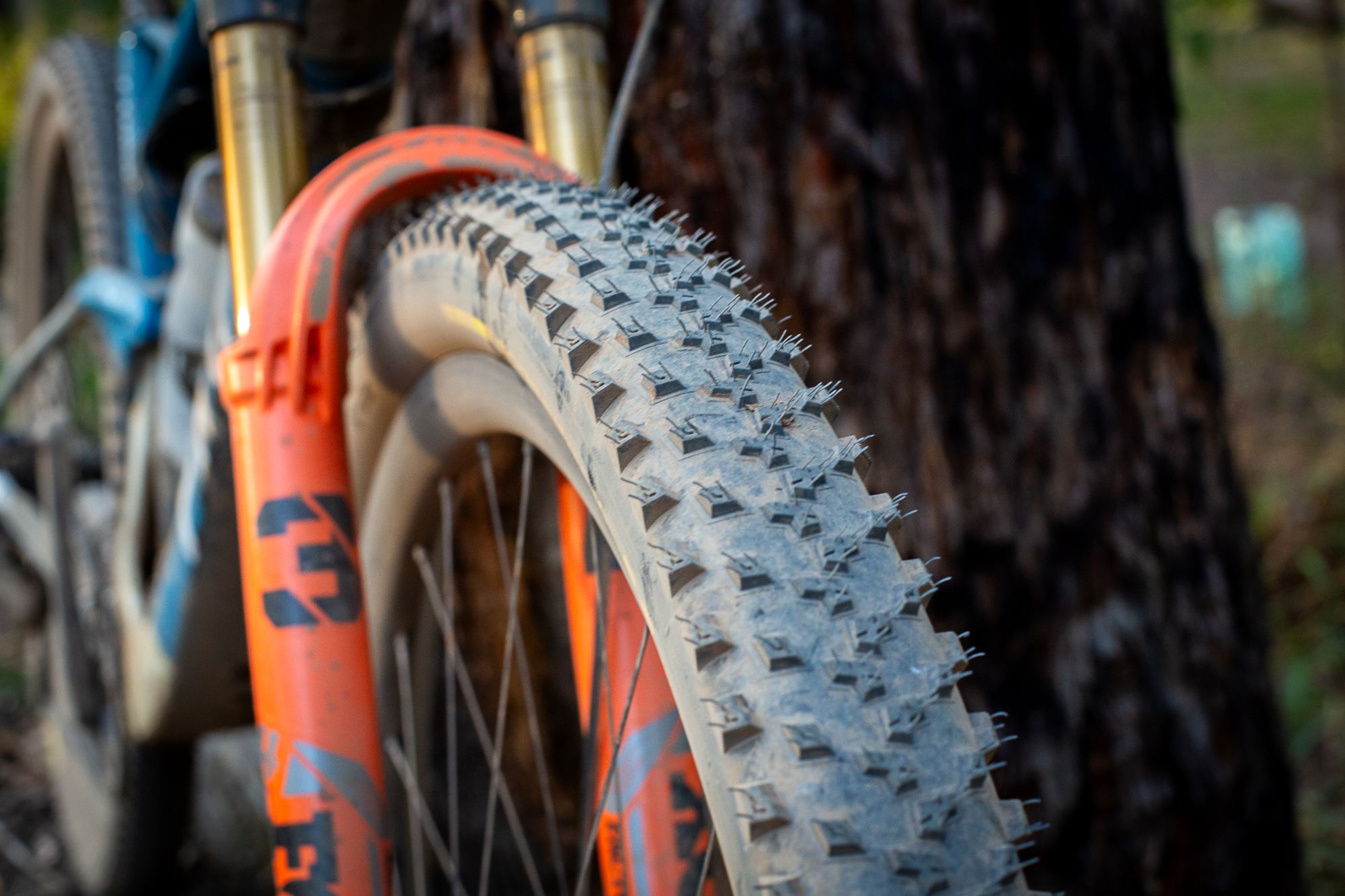 Pirelli XC M Cross Country Tyre Test