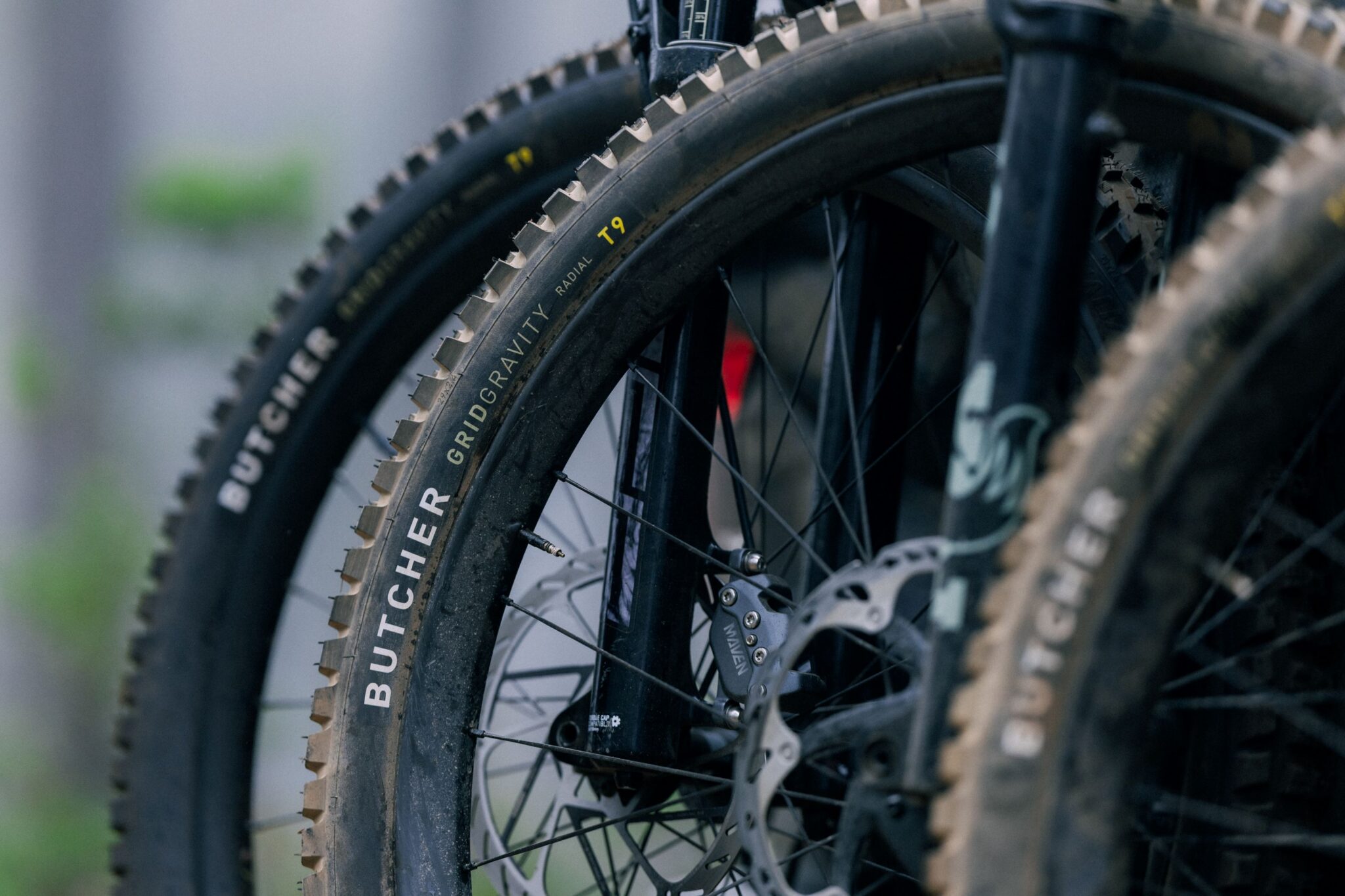 Specialized Butcher & Eliminator MTB tyres
