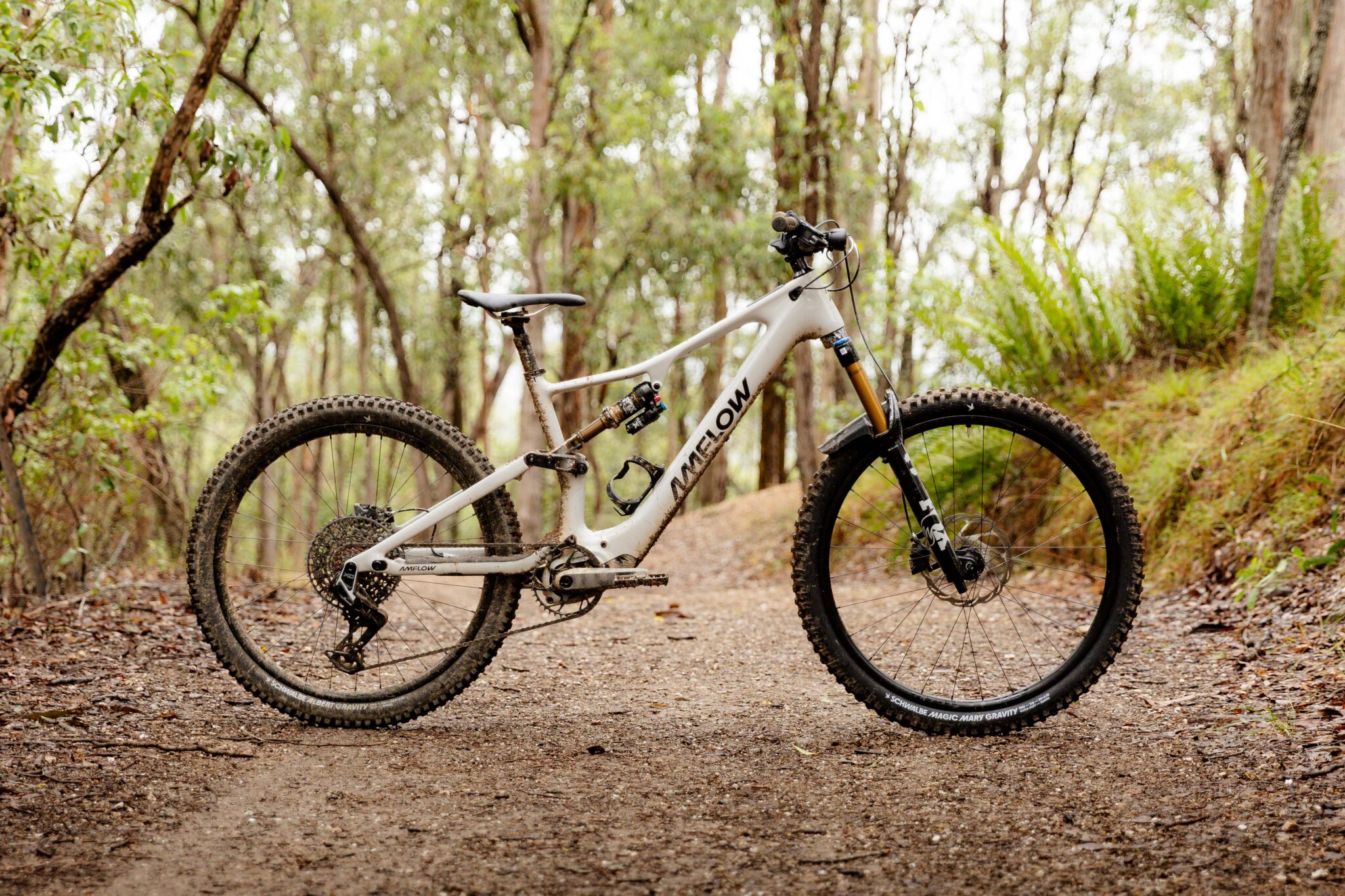 Amflow PX Carbon Pro