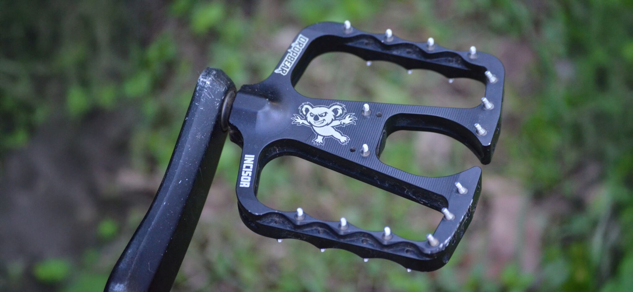 Dropbear MTB Pedal Review