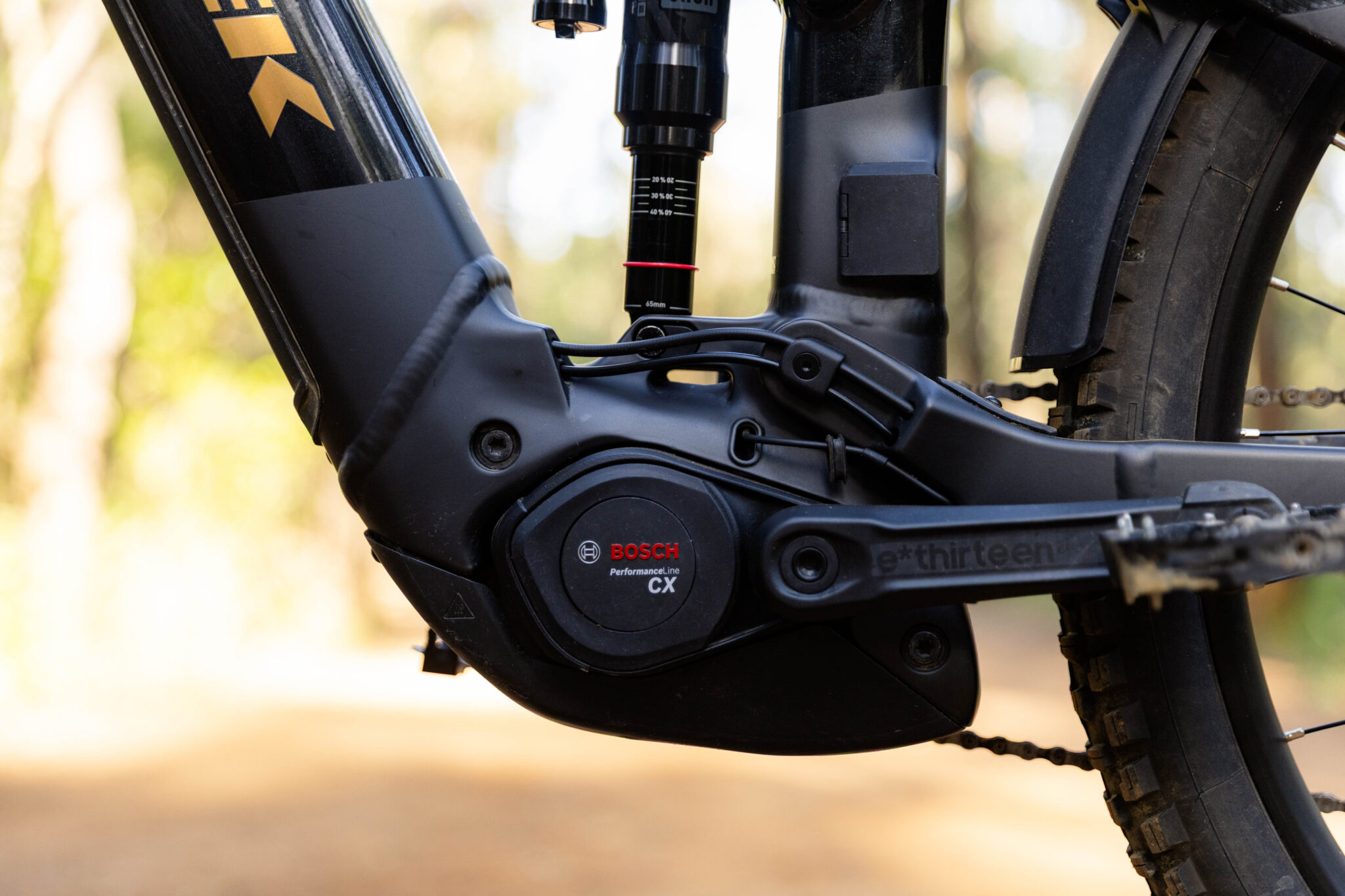 Bosch Performance 2.0 updates on Trek Rail+