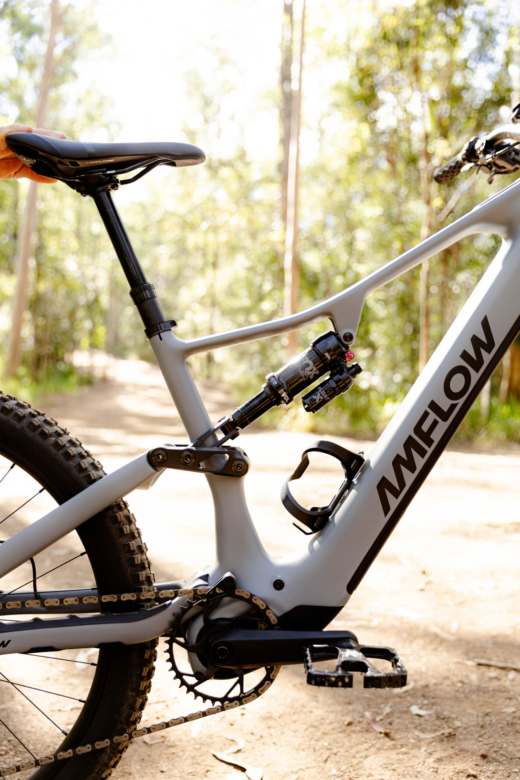Amflow PR rear suspension and frame detail