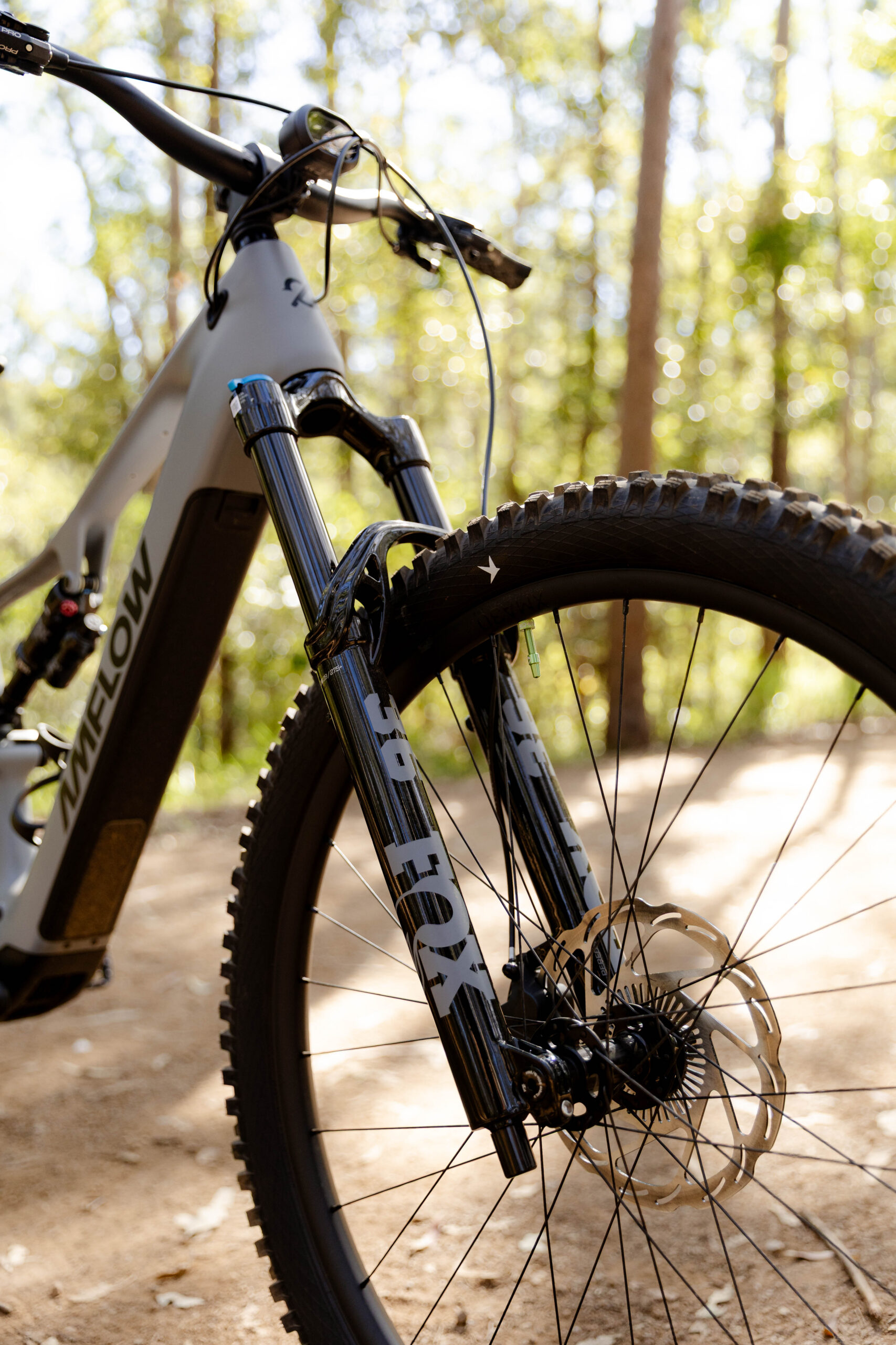 FOX 36 Performance fork and front wheel on the Amflow PR